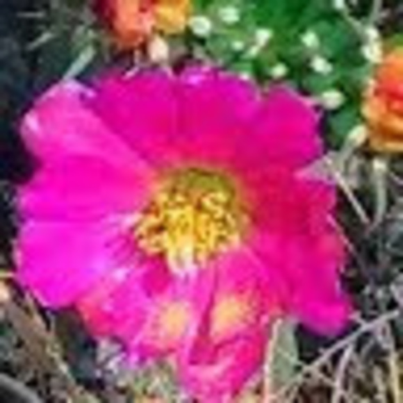 Meet your Posher, Steven - Picture 1 of 1